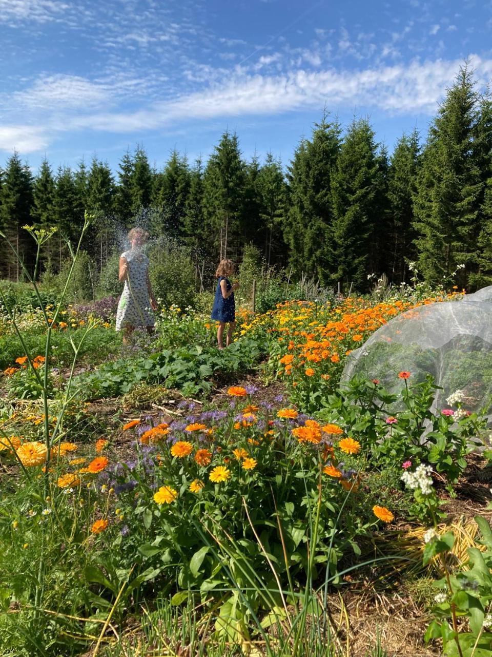 SimlångsdalenEscape To Paulssonpaleo住宿加早餐旅馆 外观 照片