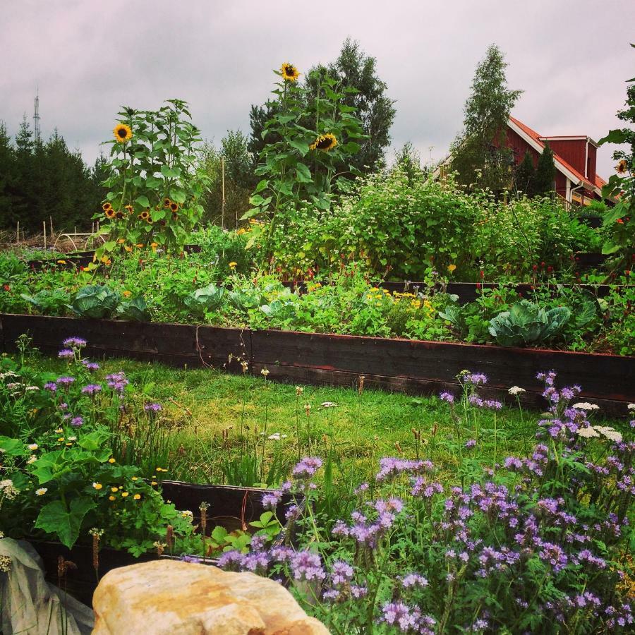 SimlångsdalenEscape To Paulssonpaleo住宿加早餐旅馆 外观 照片