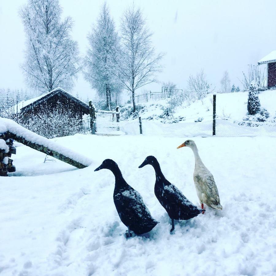SimlångsdalenEscape To Paulssonpaleo住宿加早餐旅馆 外观 照片