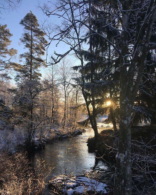 SimlångsdalenEscape To Paulssonpaleo住宿加早餐旅馆 外观 照片